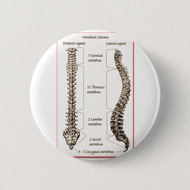 Spine Details Sepia2 2 Inch Round Button (Front)