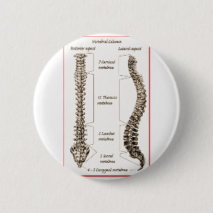 Spine Details Sepia2 2 Inch Round Button