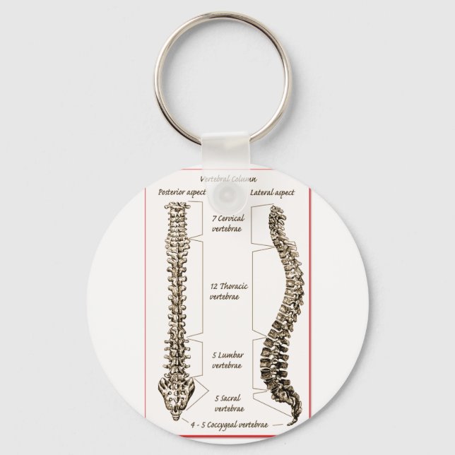 Spine Details Sepia2 Keychain (Front)