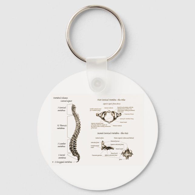 Spine Details Sepia Keychain (Front)