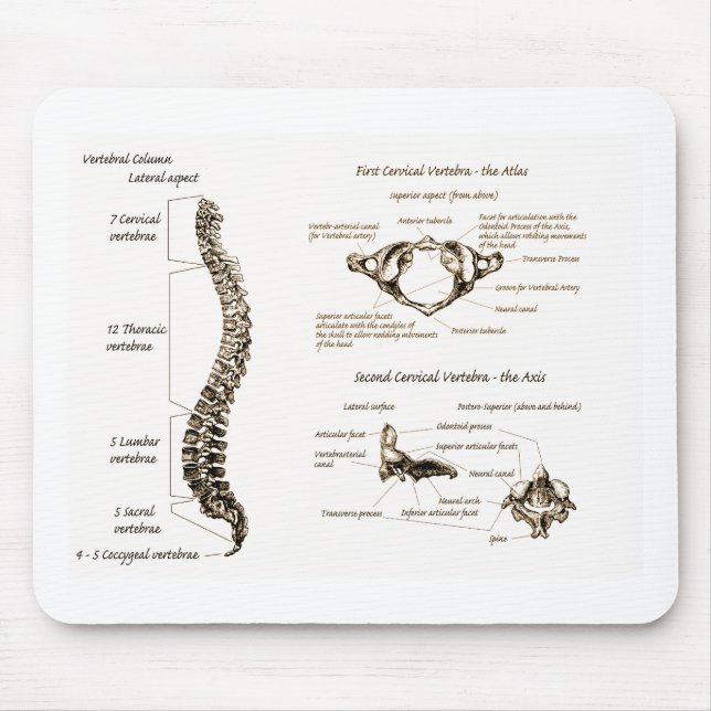 Spine Details Sepia Mouse Pad (Front)