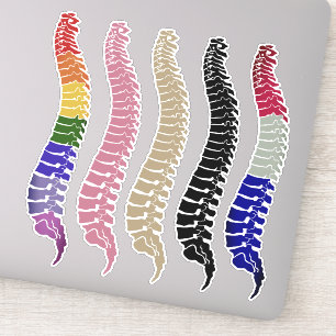 Spine laptop decals, spine stickers, chiropractic