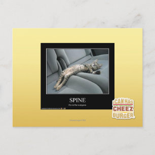 Spine Postcard
