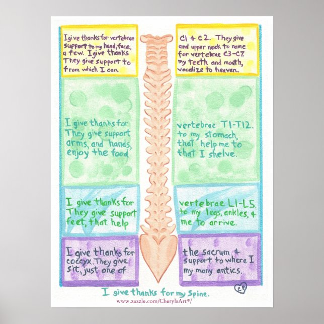 Spine Poster - I give thanks for vertebrae (Front)