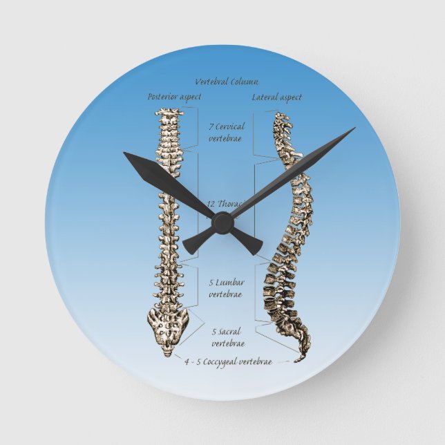 Spine Round Clock (Front)