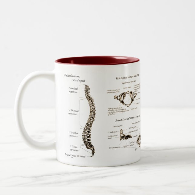Spine Two-Tone Coffee Mug (Left)