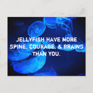 Spineless Postcard