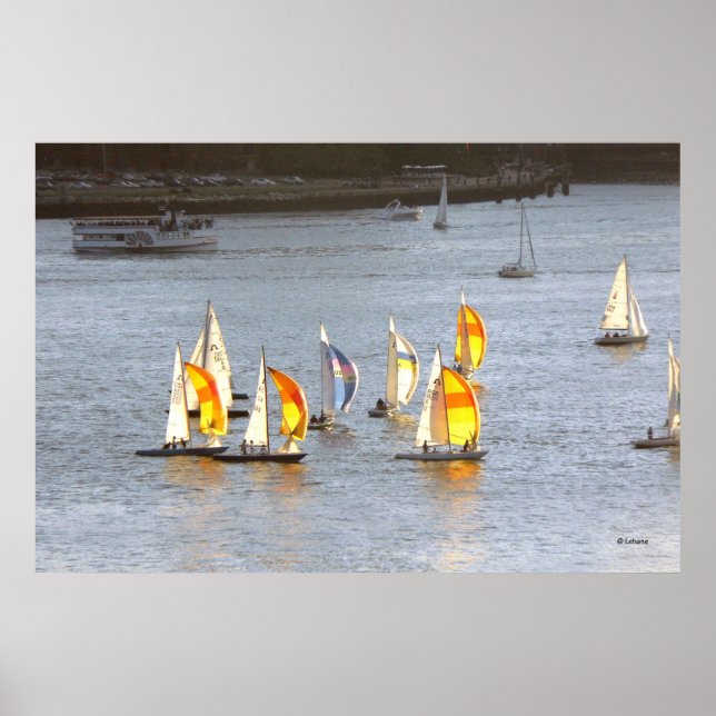 Spinnakers Grab the Wind Poster (Front)