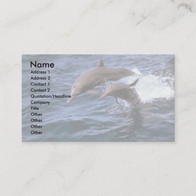 Spinner dolphin business card (Front)