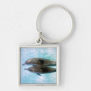 Spinner Dolphins   Oahu Hawaii Keychain