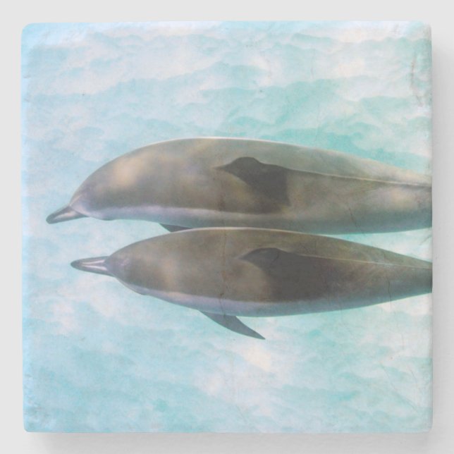 Spinner Dolphins | Oahu Hawaii Stone Coaster (Front)