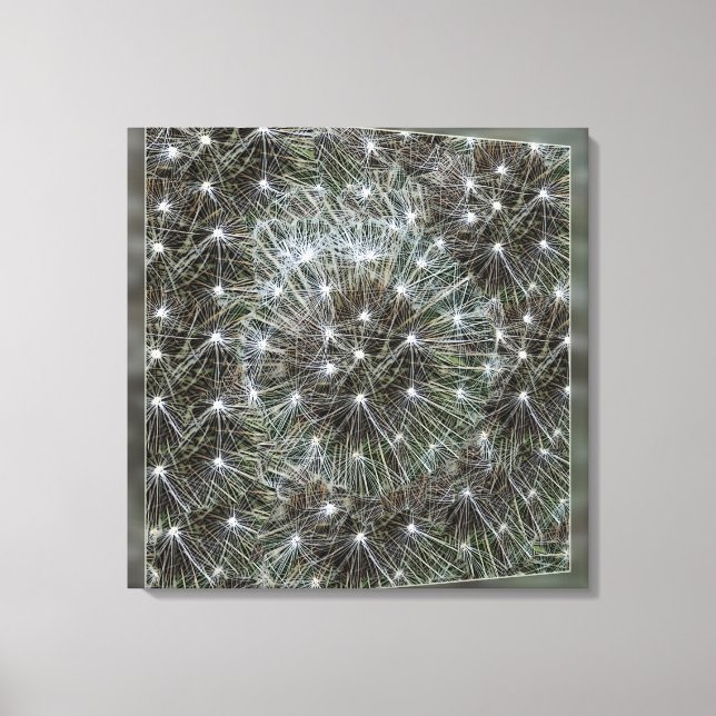 Spinning dandelion puff canvas print (Front)