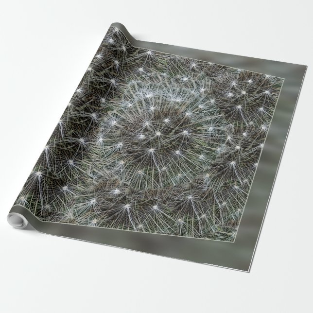 Spinning dandelion puff wrapping paper (Unrolled)