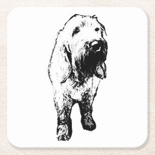 Spinone Dog Coaster – Wiry Standing Design
