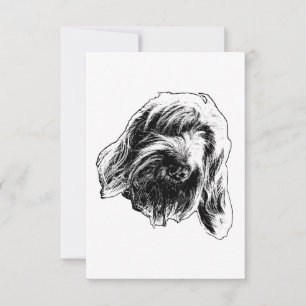 Spinone Gentle Thanks Thank You Card