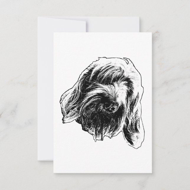 Spinone Gentle Thanks Thank You Card (Front)