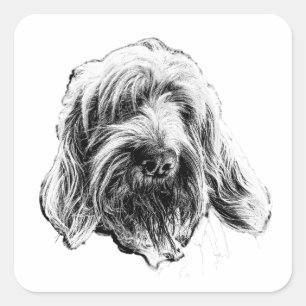 Spinone Italiano Art Sticker