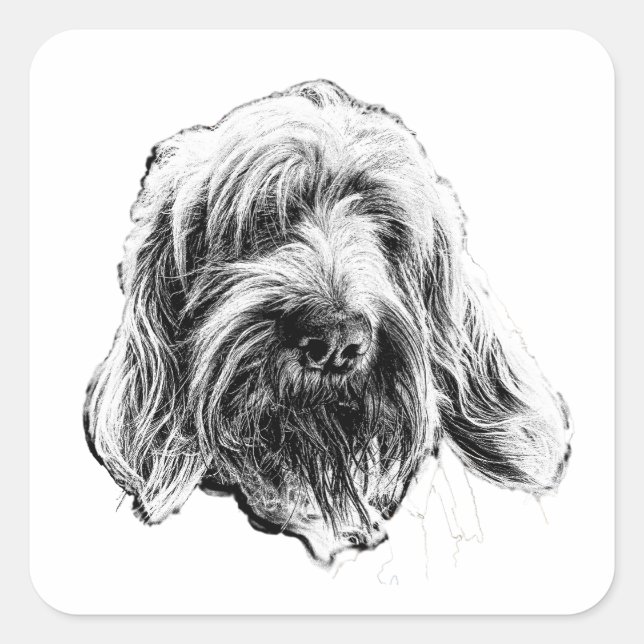Spinone Italiano Art Sticker (Front)