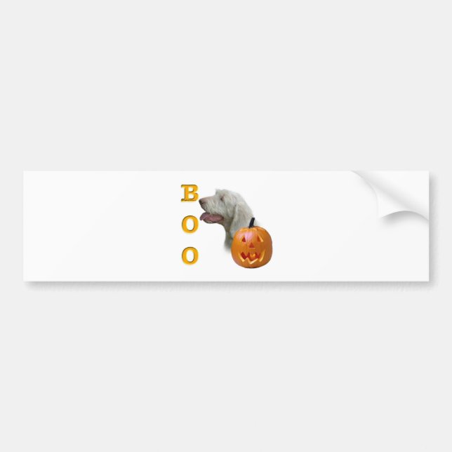 Spinone Italiano Boo Bumper Sticker (Front)