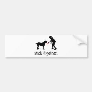 Spinone Italiano Bumper Sticker