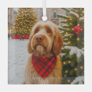 Spinone Italiano Glass Ornament