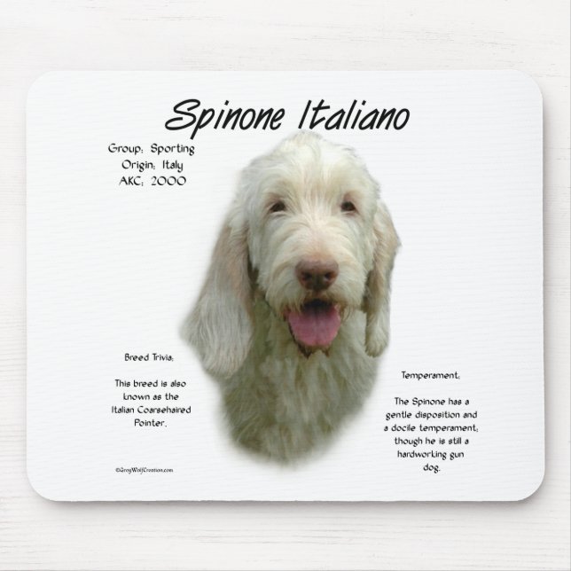 Spinone Italiano History Design Mouse Pad (Front)
