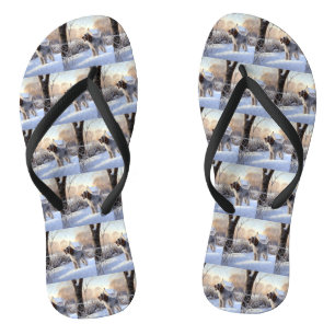 Spinone Italiano Let It Snow Christmas Flip Flops