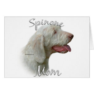 Spinone Italiano Maman 2