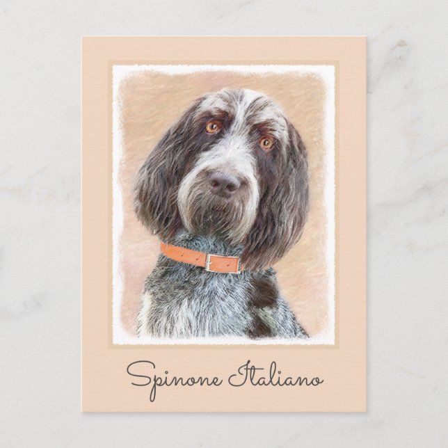 Spinone Italiano Painting - Cute Original Dog Art Postcard (Front)