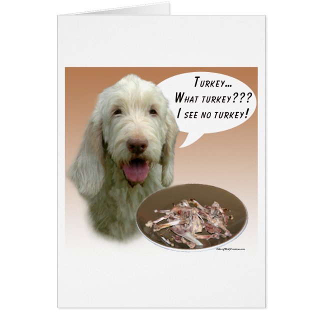 Spinone Italiano Turkey (Front)