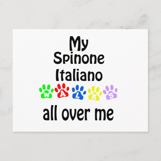 Spinone Italiano Walks Design Postcard (Front)