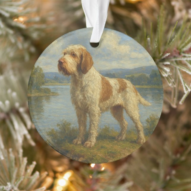 Spinone Italien (Arbre)