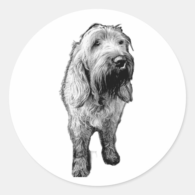 Spinone Sticker – Emotional Dog Portrait (Front)