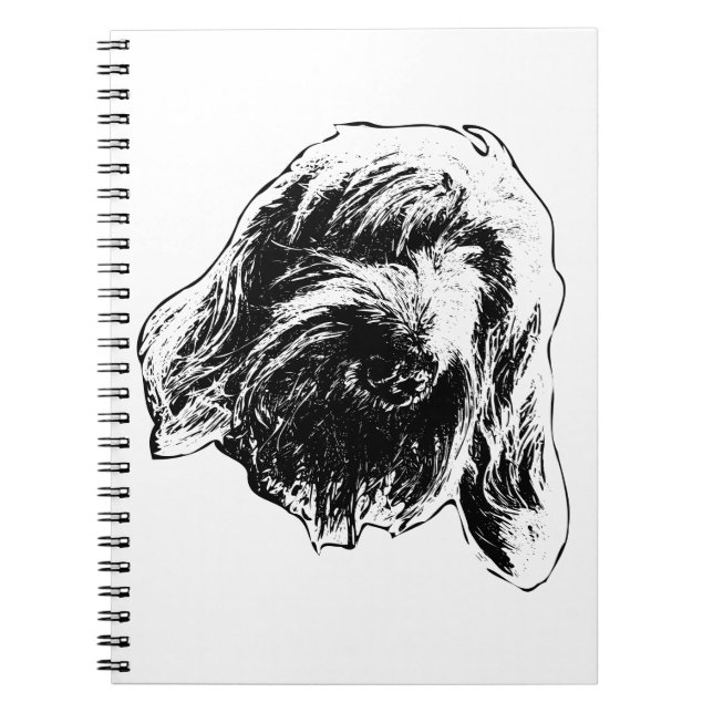 Spinone Story Pages Notebook (Front)