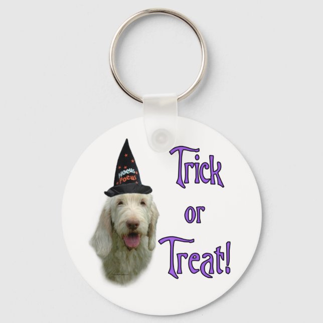 Spinone Trick Keychain (Front)