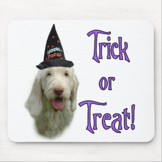 Spinone Trick Mousepad