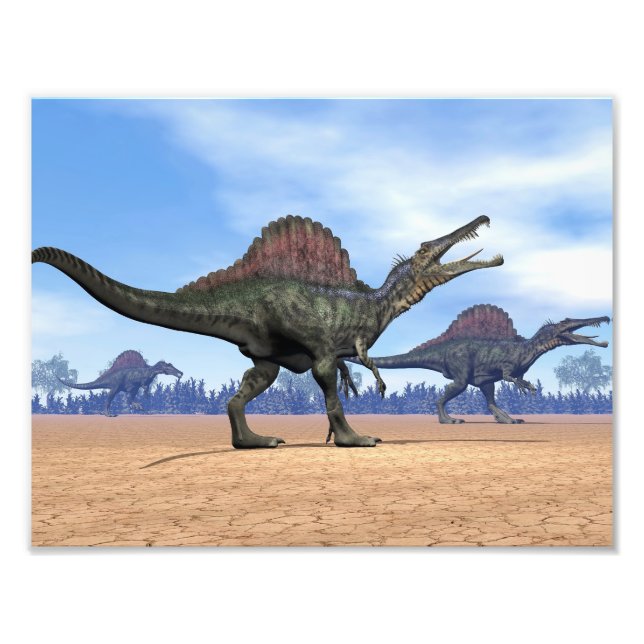 Spinosaurus dinosaurs walk - 3D render Photo Print (Front)