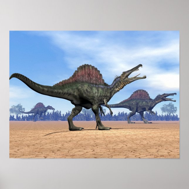 Spinosaurus dinosaurs walk - 3D render Poster (Front)