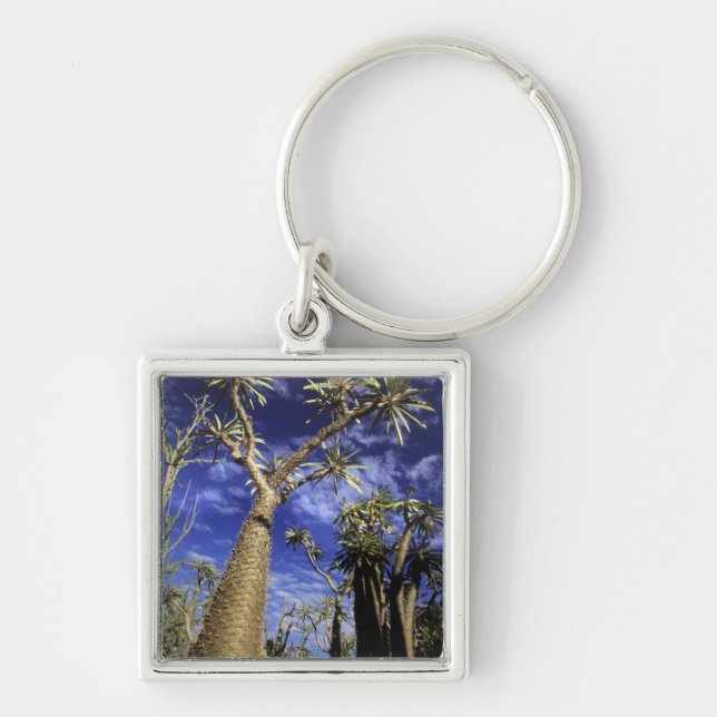 Spiny Forest Formed Of Pachypodium Trees Keychain (Front)