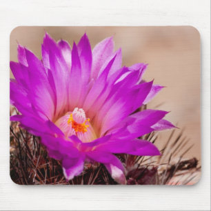 Spinystar Cactus Flower Mousepad