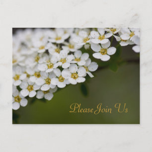 Spiraea Please Join Us Postcard