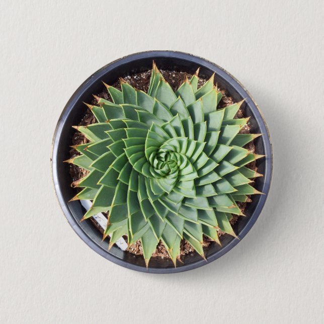 Spiral Aloe Button (Front)