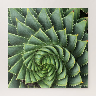 Spiral Aloe Fibonacci Jigsaw Puzzle