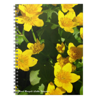 Spiral Bound Notebook 8x11" | Marsh Marigold