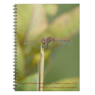 Spiral-bound Notebook with Dragonfly Photo