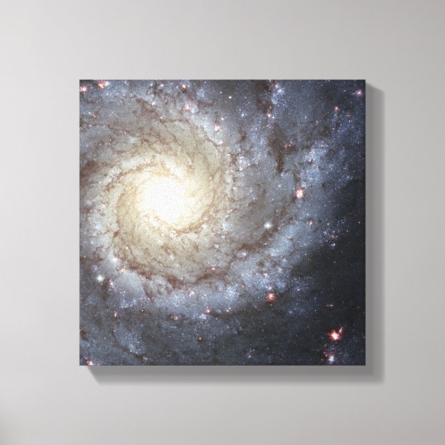 Spiral galaxy M74 Canvas Print (Front)