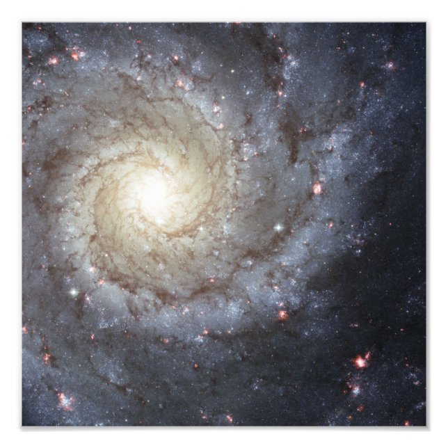 Spiral galaxy M74 Photo Print (Front)