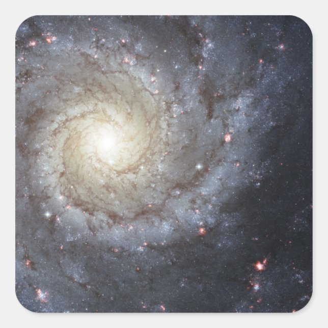 Spiral galaxy M74 Square Sticker (Front)