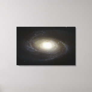 Spiral Galaxy M81 Canvas Print