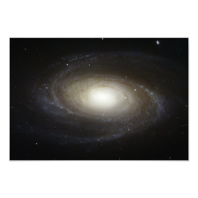 Spiral Galaxy M81 Photo Print (Front)